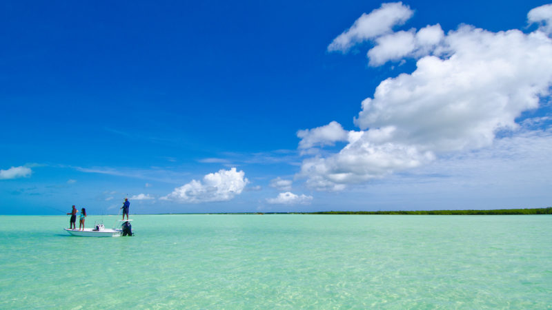 Isole Vergini Britanniche: scopriamo le più belle spiagge dei Caraibi!