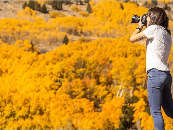 Mammoth Lakes: il foliage è l’highlight dell’autunno negli Stati Uniti!