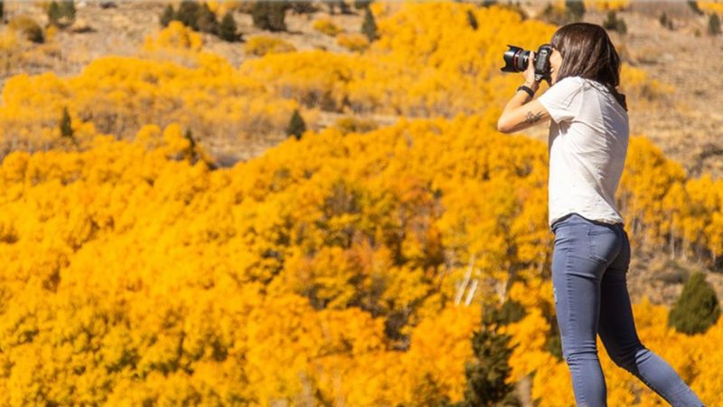 Mammoth Lakes: il foliage è l’highlight dell’autunno negli Stati Uniti!