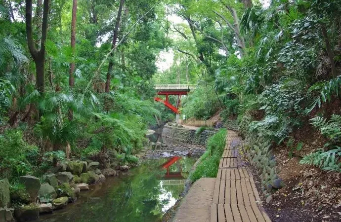 La valle di Todoroki è un’oasi di tranquillità nella città di Tokyo, Giappone