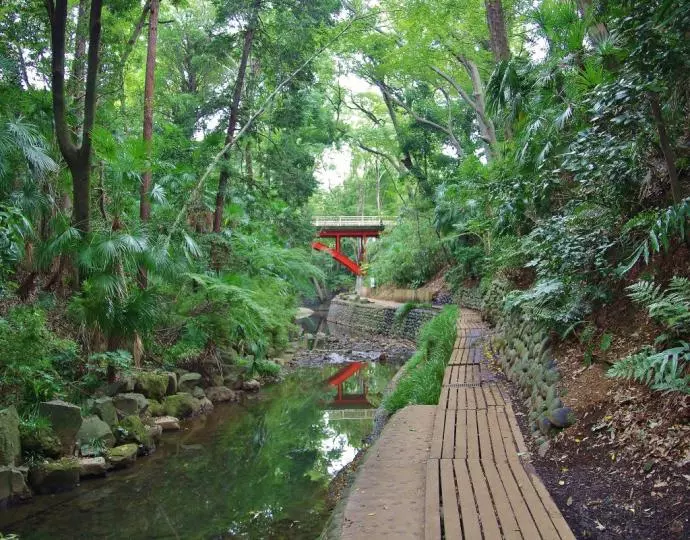 La valle di Todoroki è un’oasi di tranquillità nella città di Tokyo, Giappone