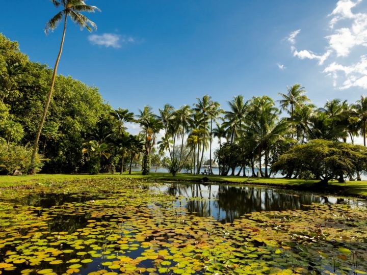 Giardini profumati e incantevoli parchi ne Le Isole di Tahiti in Polinesia