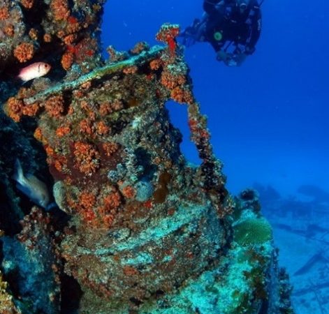 Isole Vergini Britanniche, Caraibi: la BVI Wreck Week dedicata agli amanti degli abissi