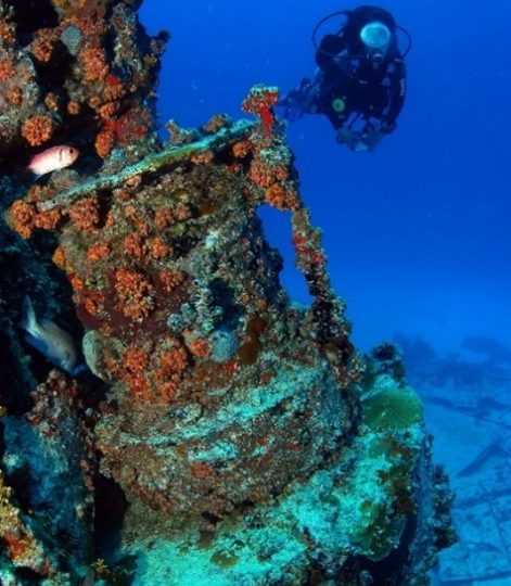 Isole Vergini Britanniche, Caraibi: la BVI Wreck Week dedicata agli amanti degli abissi