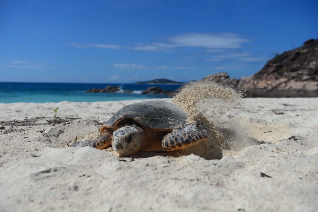 Seychelles