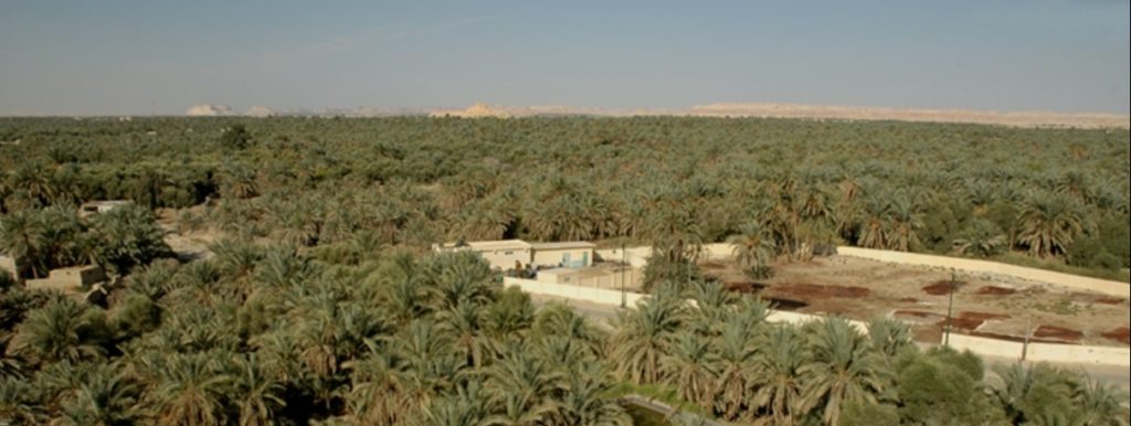 Siwa