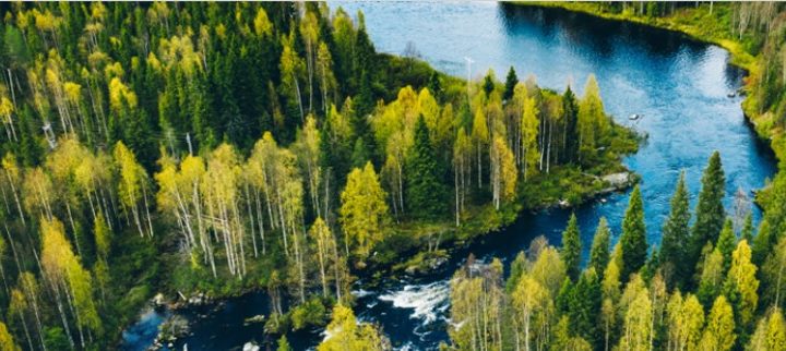Finlandia: esploriamo la Regione dei Laghi attraverso l’ospitalità di 2 hotel immersi nella natura