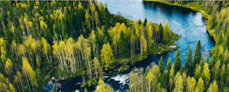 Finlandia: esploriamo la Regione dei Laghi attraverso l’ospitalità di 2 hotel immersi nella natura