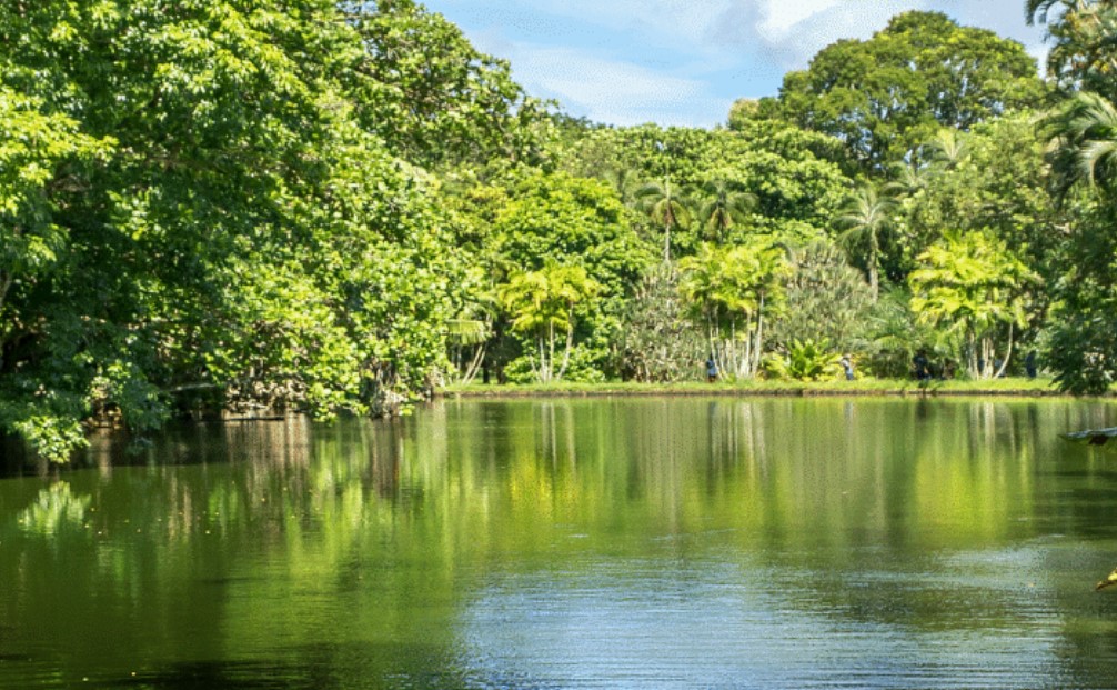 Mauritius
