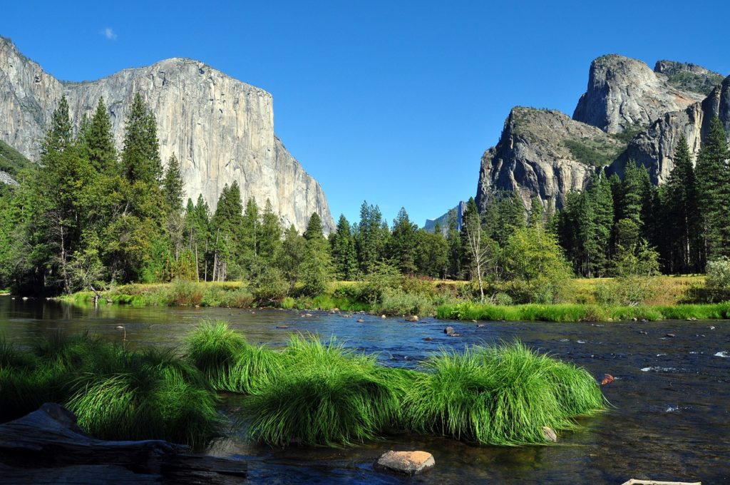 Yosemite National Park