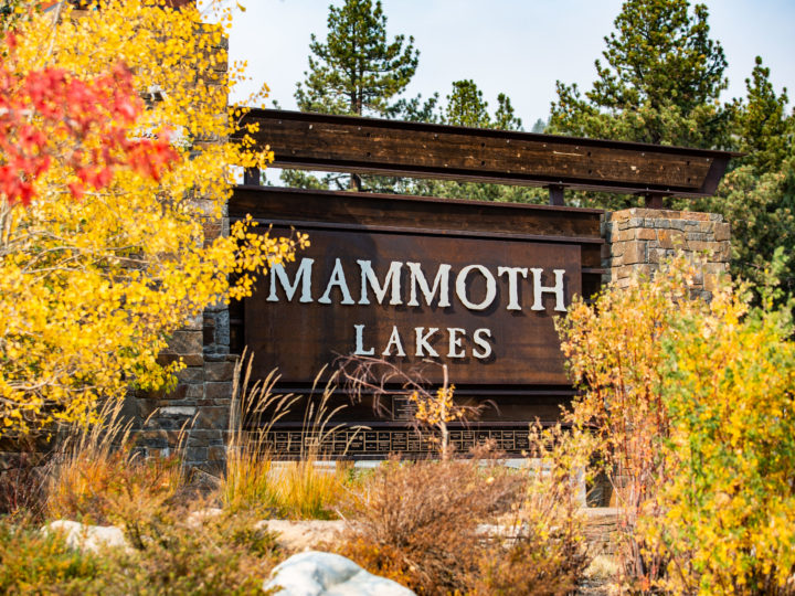 Mammoth Lakes, Stati Uniti: i colori del foliage in autunno