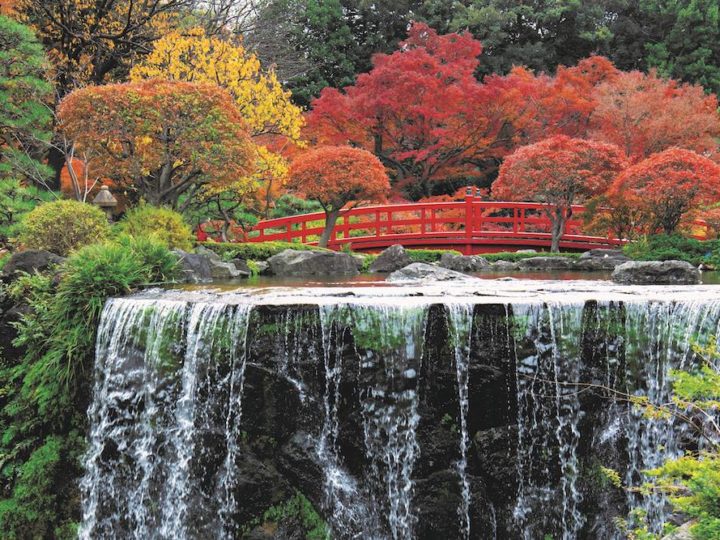 Tokyo, il fogliage d’autunno in Giappone si chiama kōyō!