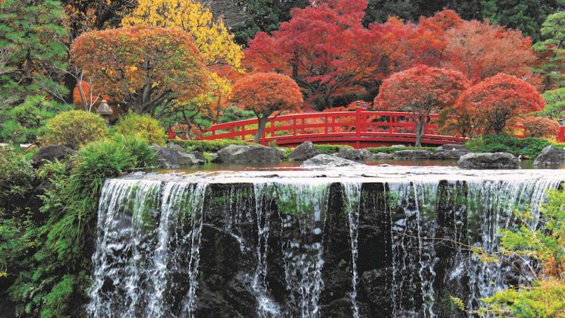 Tokyo, il fogliage d’autunno in Giappone si chiama kōyō!