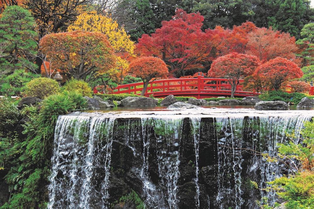 Tokyo, il fogliage d’autunno in Giappone si chiama kōyō!