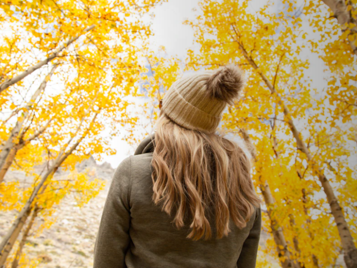 Mammoth Lakes, Stati Uniti: le iconiche location nei set cinematografici!