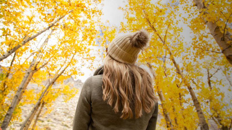 Mammoth Lakes, Stati Uniti: le iconiche location nei set cinematografici!