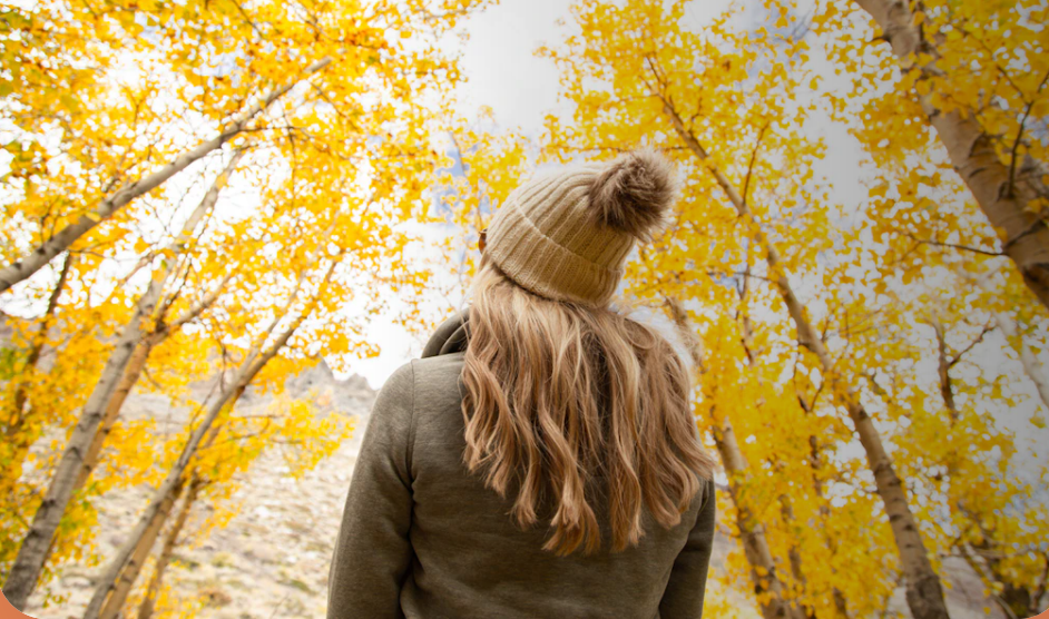 Mammoth Lakes, Stati Uniti: le iconiche location nei set cinematografici!