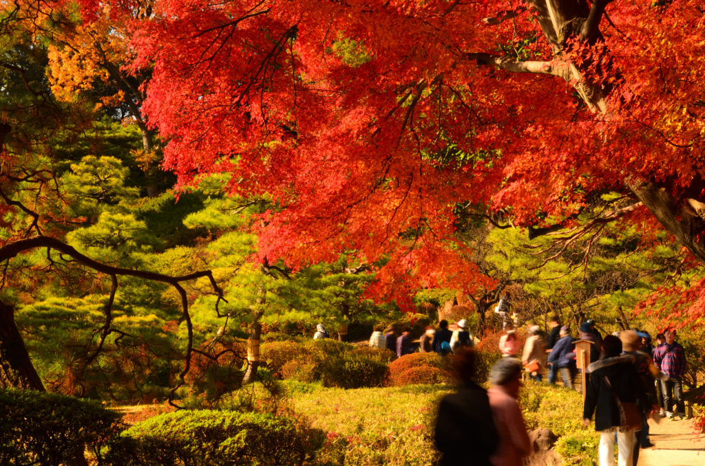 Tokyo