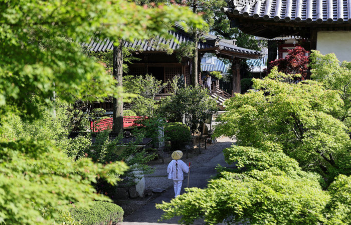 Giappone, pellegrinaggio a Shikoku tra templi antichi e storia millenaria
