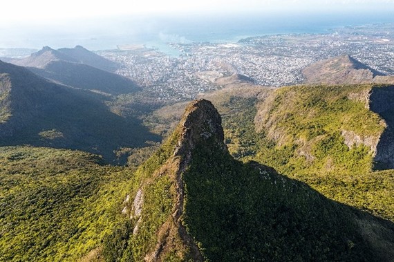 Mauritius: un viaggio tra palme, fiori, alberi secolari e specie protette