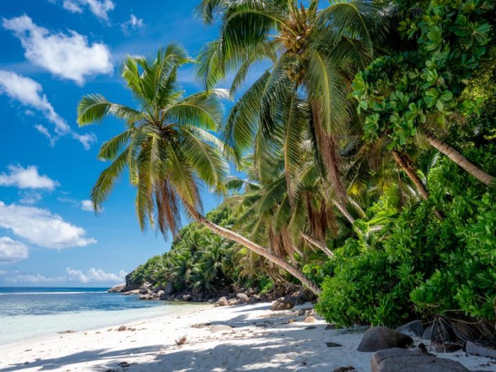 Seychelles: tesori di bellezza e biodiversità nelle isole dell’oceano Indiano