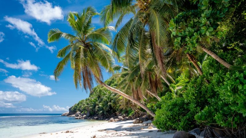 Seychelles: tesori di bellezza e biodiversità nelle isole dell’oceano Indiano