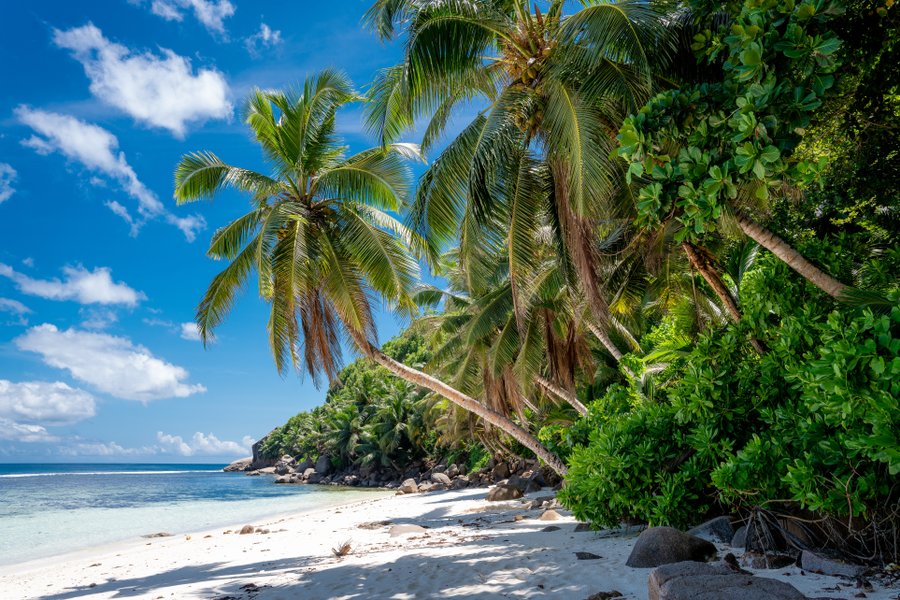 Seychelles: tesori di bellezza e biodiversità nelle isole dell’oceano Indiano