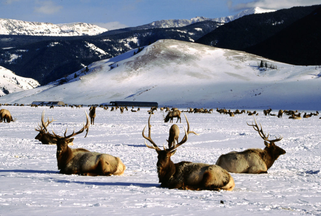 Wyoming