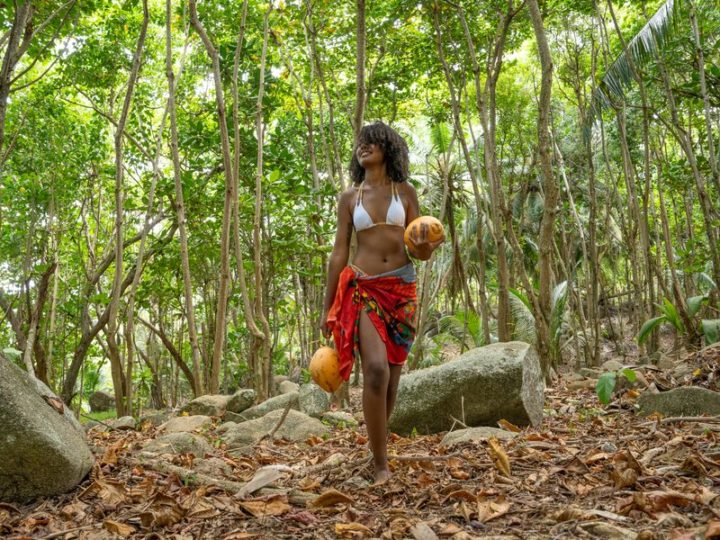 Seychelles: esplorare l’inesplorato nelle gemme dell’oceano Indiano