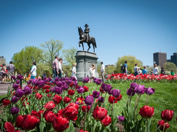 Boston, Stati Uniti: incontra la natura in un picnic indimenticabile!