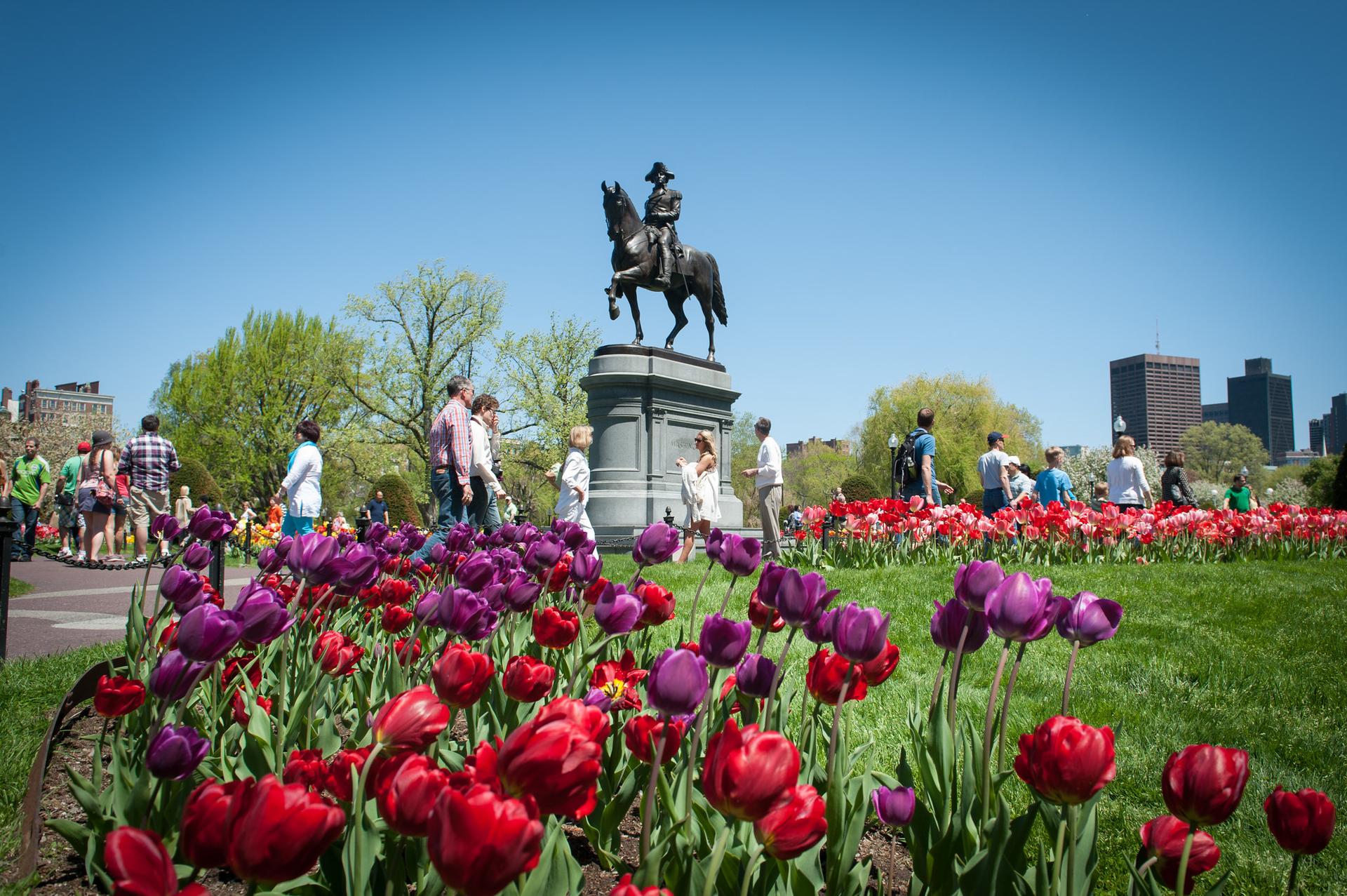 Boston, Stati Uniti: incontra la natura in un picnic indimenticabile!