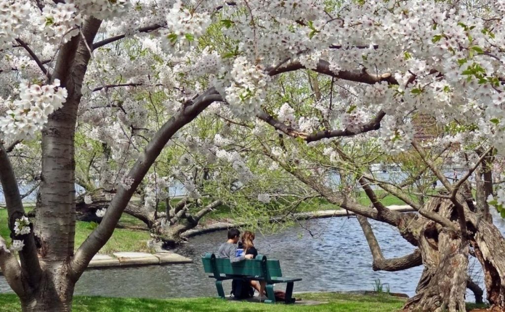 Boston