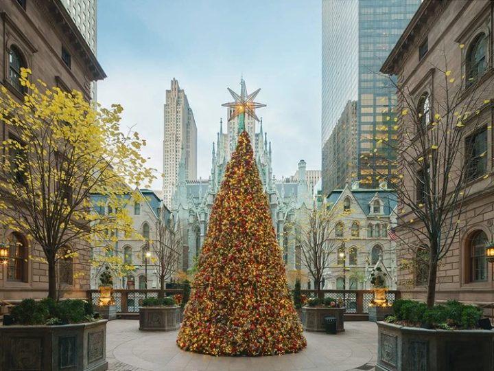 New York, Stati Uniti: la magia della “Festive Season 2024”