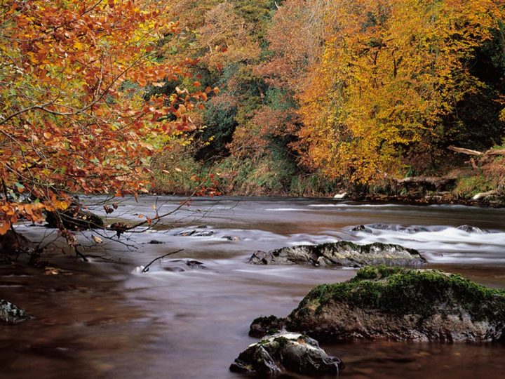 Irlanda autunnale: immagini preziose perfette per Instagram!