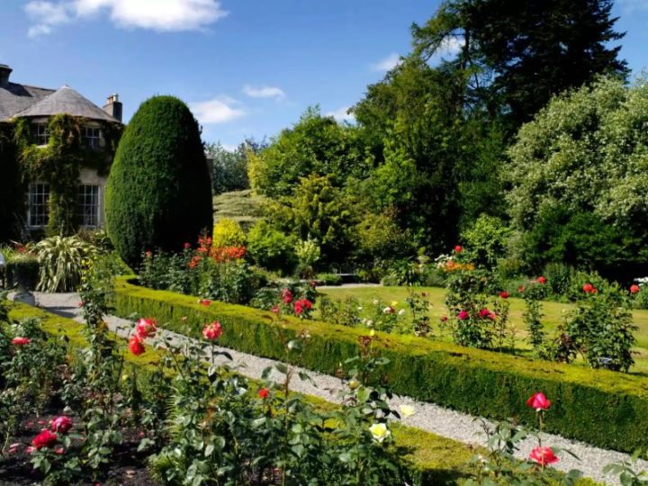 Irlanda: 7 attività da fare in primavera!