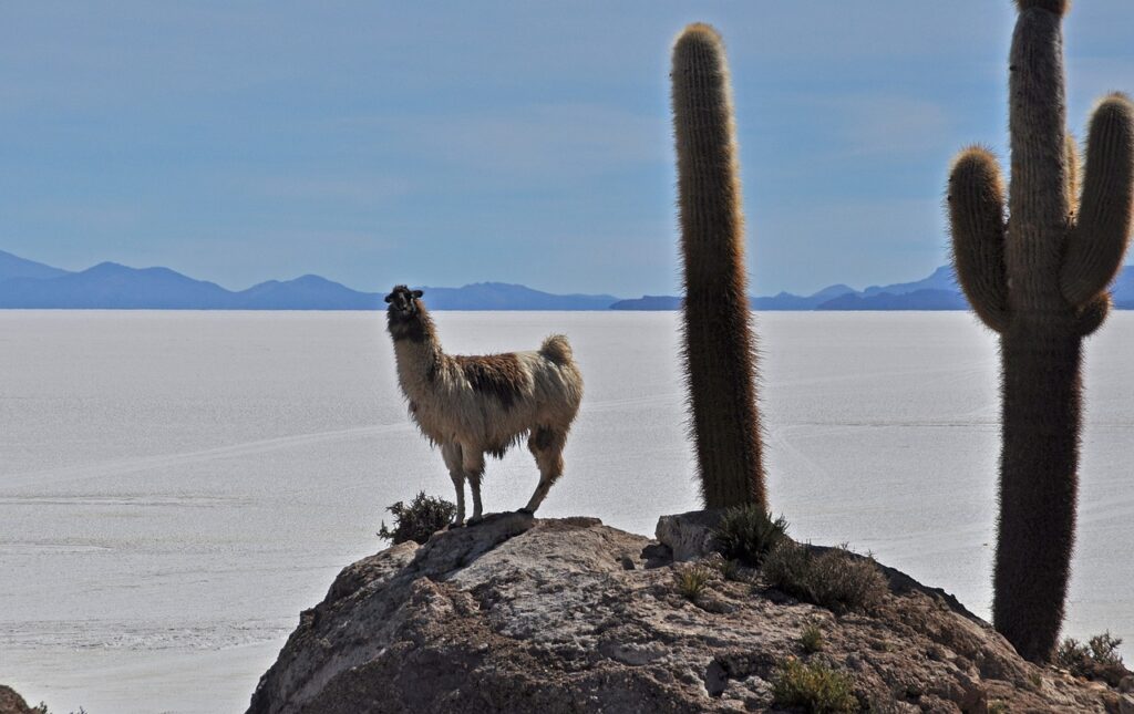 Salar de Uyuni