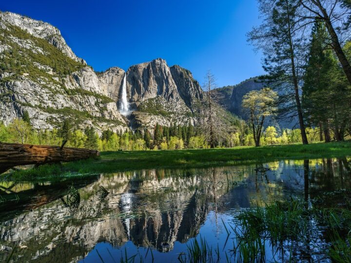 Yosemite: prenotazioni per l’estate 2025 e guida alla visita 