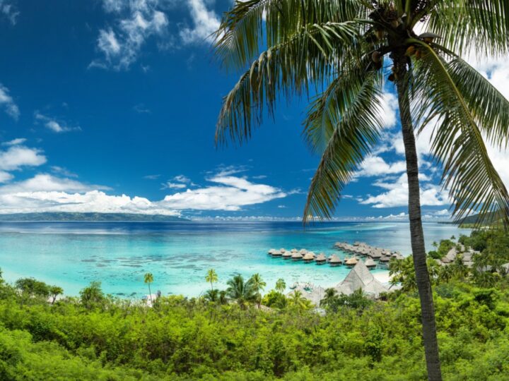 Moorea: esplora l’isola dell’ananas nella Polinesia Francese