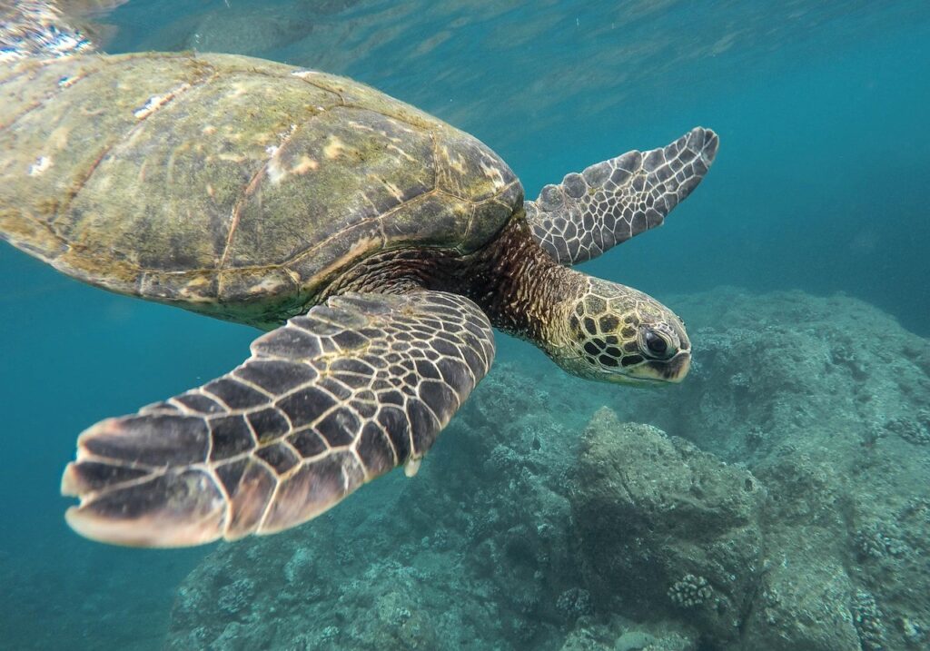 Seychelles