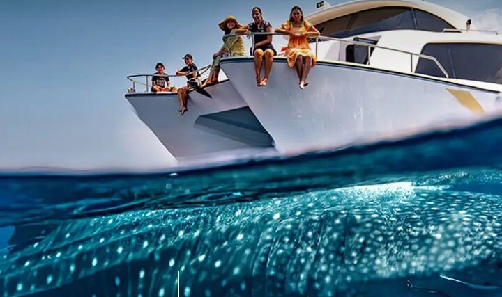 Qatar: viaggio nella stagione degli Squali Balena 2025 