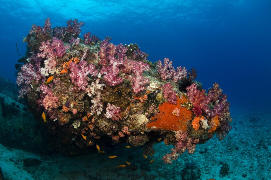 Seychelles