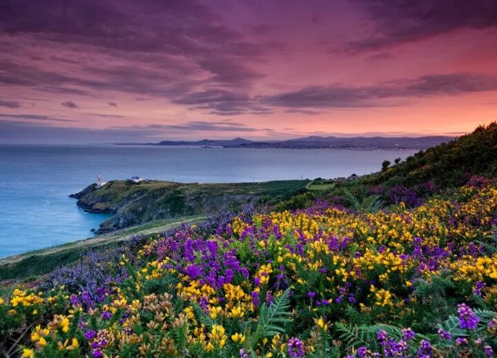 Irlanda in foto: 6 immagini spettacolari dell’isola d’estate