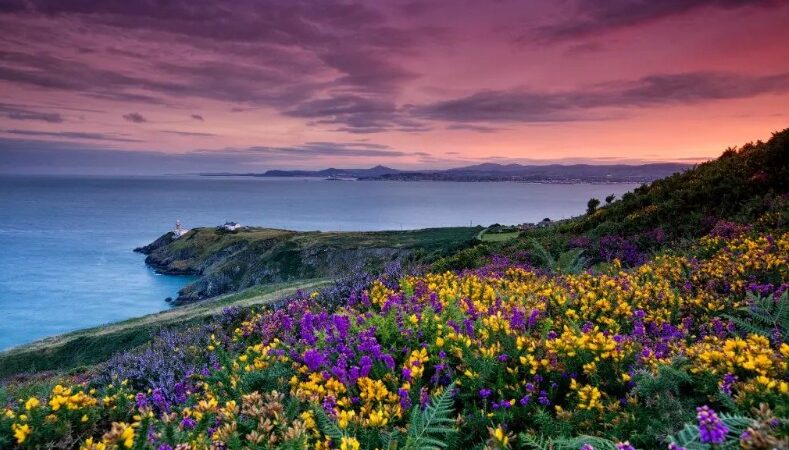 Irlanda in foto: 6 immagini spettacolari dell’isola d’estate
