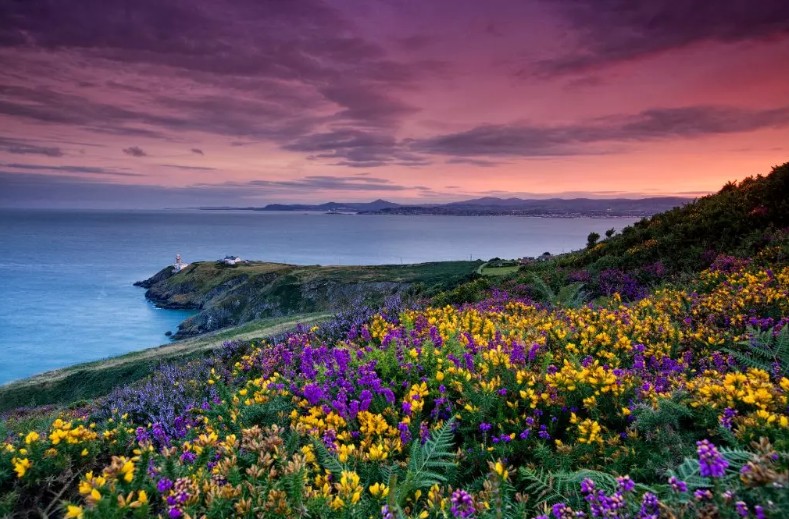 Irlanda in foto: 6 immagini spettacolari dell’isola d’estate
