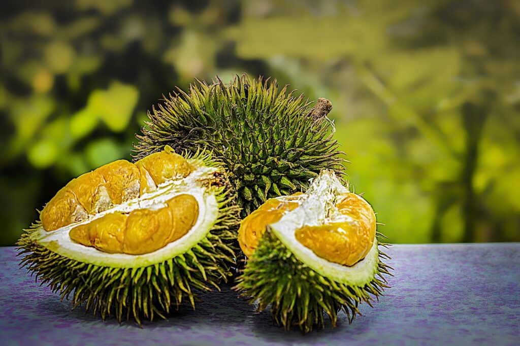 Thailandia