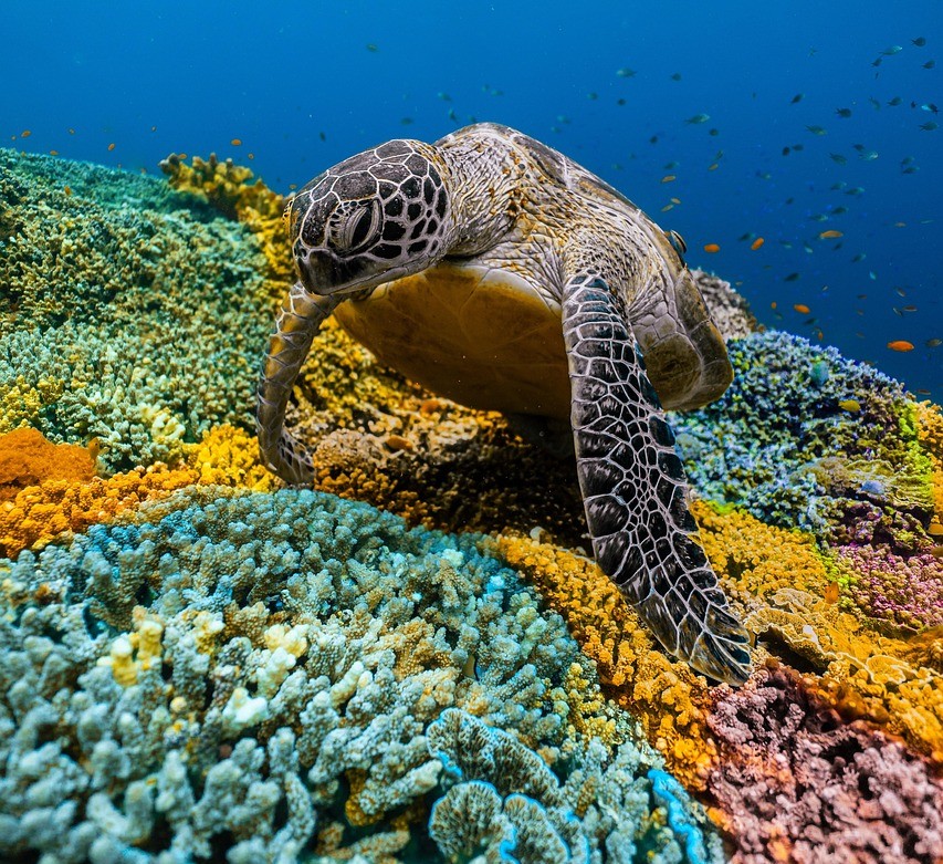 Australia