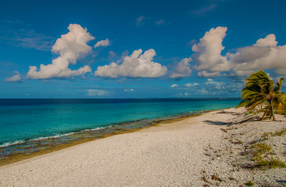 Caraibi
