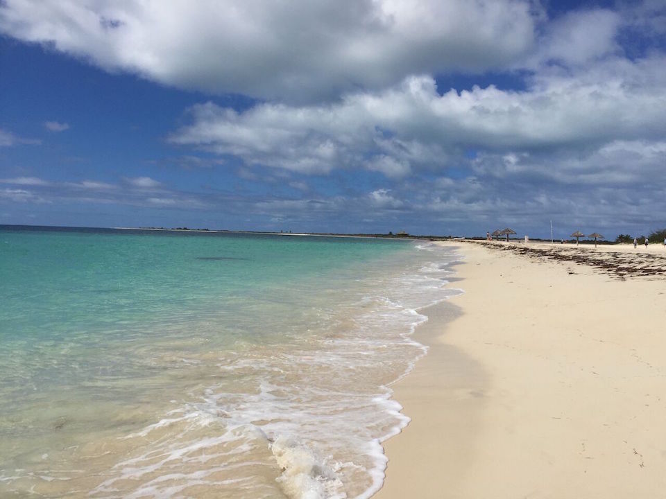 Caraibi