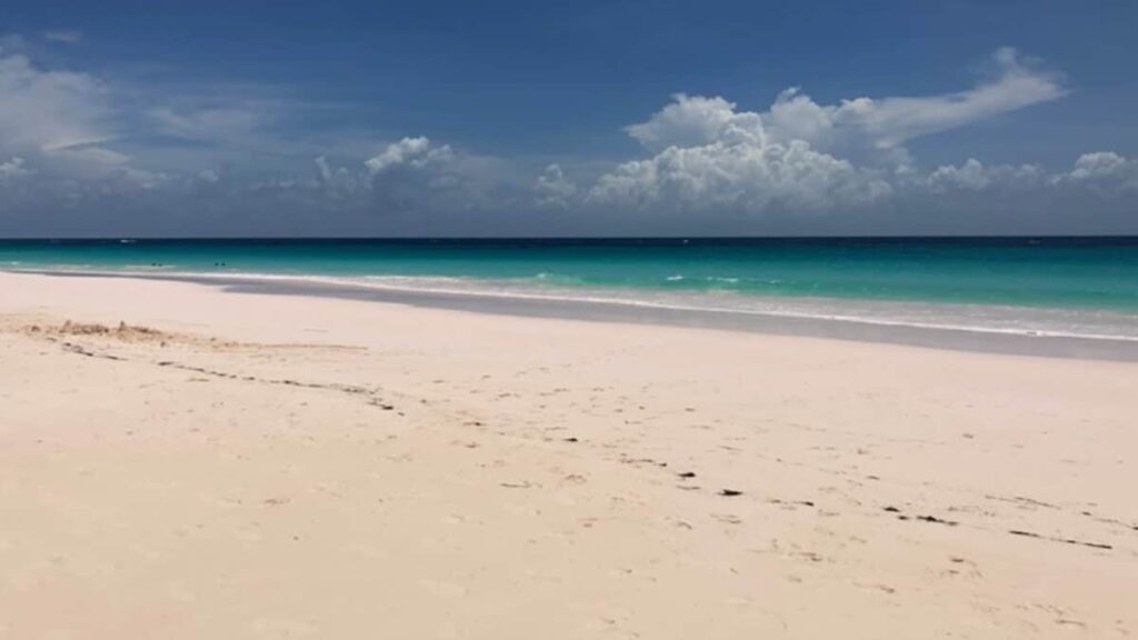 Caraibi
