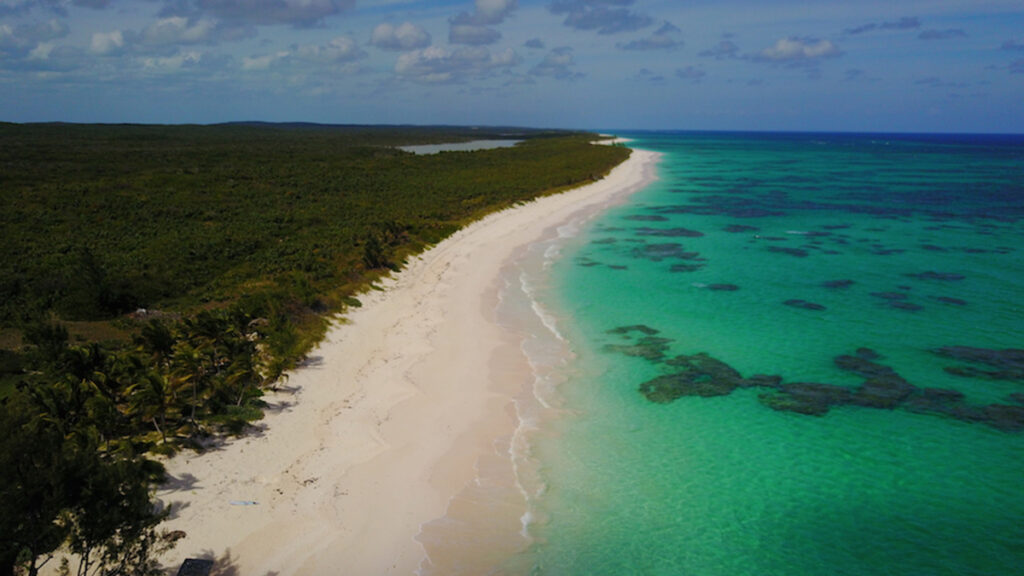 Caraibi